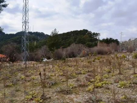 For Sale Bargain Land In Fethiye Ta Sty