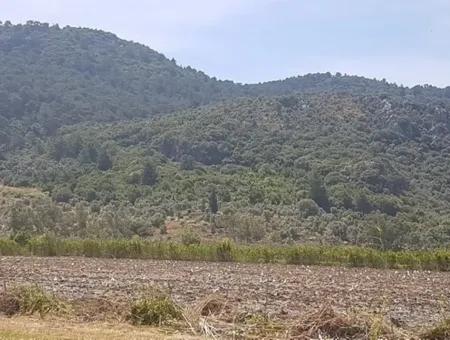 Oriya Eksiliyurt Mah. 26512 M2 Arable Land Also For Sale