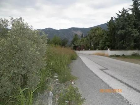 Land For Sale In Dalyan, Property For Sale Bargain