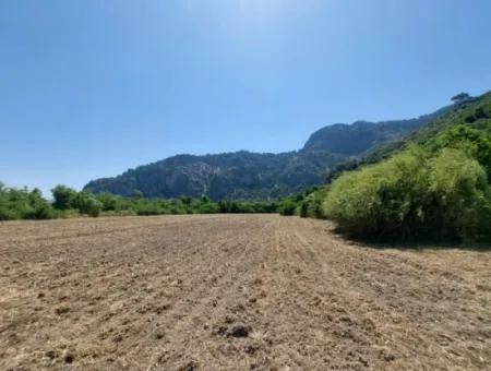 Muğla Okçular Marmarlıda 7 750 M2 Zoning Plan Suitable For Investment Bargain Land For Sale