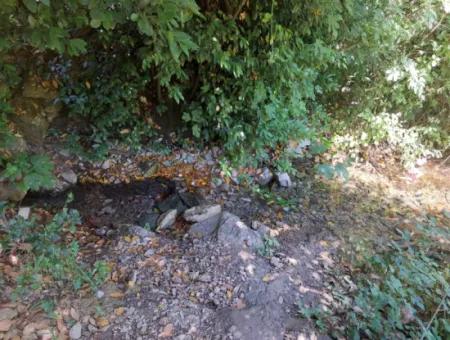 Muğla Okçular Marmarlıda 7 750 M2 Zoning Plan Suitable For Investment Bargain Land For Sale