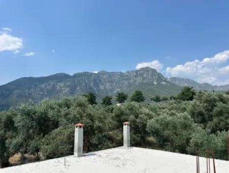 1608 M2 Olive Grove For Sale In Köyceğiz Olive Area
