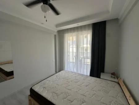 Opportunity For Those Who Want A Big 1 1! Furnished, New And Central