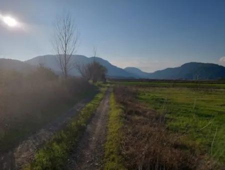 14.500 M² Fertile Land In Ortaca Güzelyurt For Long-Term Rental – Suitable For Animal Husbandry