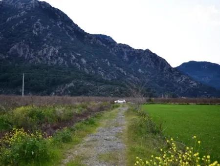 Detached Fertile Bargain Land For Sale In Ortaca Mergenli