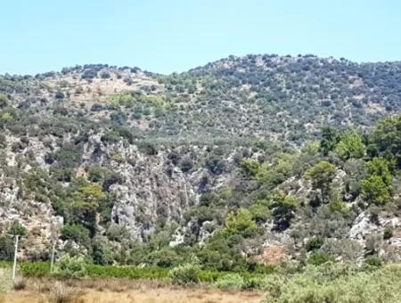 Sea View Land For Sale In Mugla Dalaman Kapıkargın