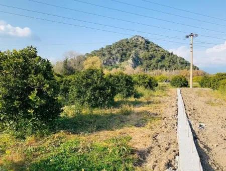 830 M2 Plot For Sale Bargain In Dalyan