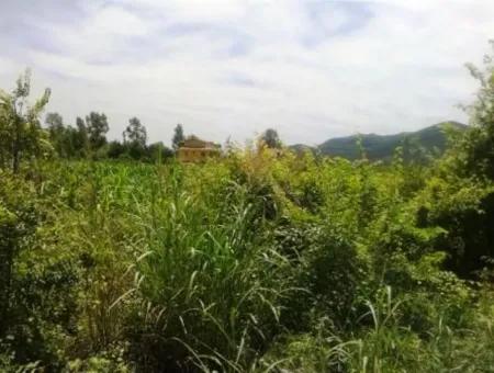 Oriya Land Near Main Road For Sale In Fethiye