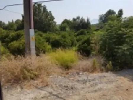 From The Main Road Land For Sale In Koycegiz Zeytinalani Zero