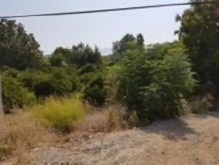 From The Main Road Land For Sale In Koycegiz Zeytinalani Zero