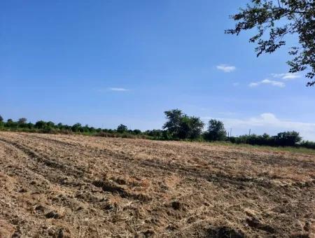 Oriya Fevziye Land For Sale In Zero Road