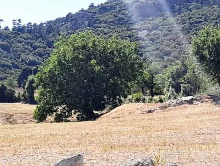 Land For Sale Bargain For Sale In St John Yunuspinar Denizli