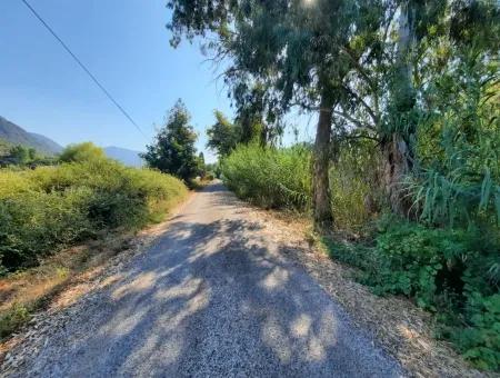 Vineyard Garden Zoning Land For Sale In Gocek Inlice