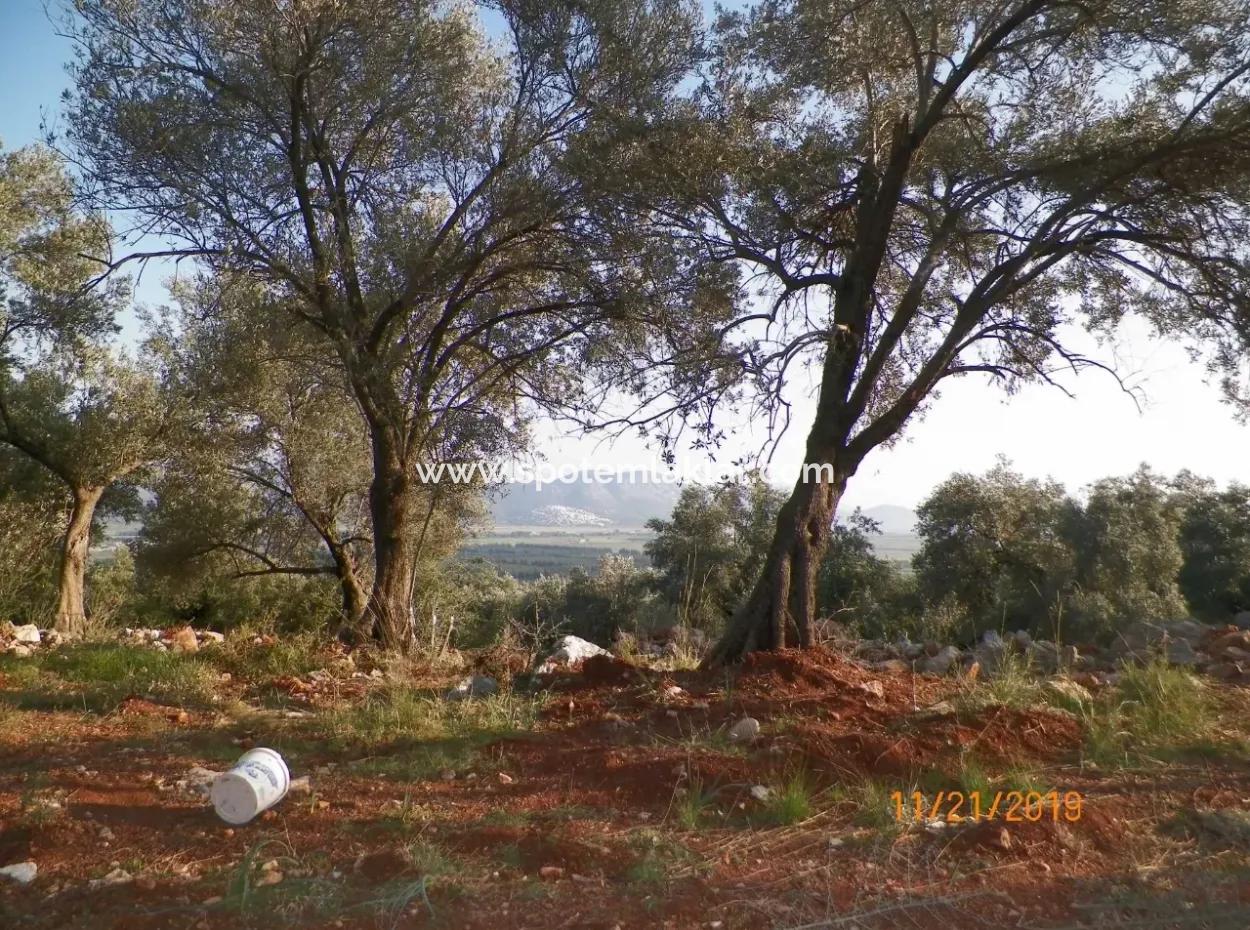 Fevziye De Satılık Deniz Manzaralı Arazi