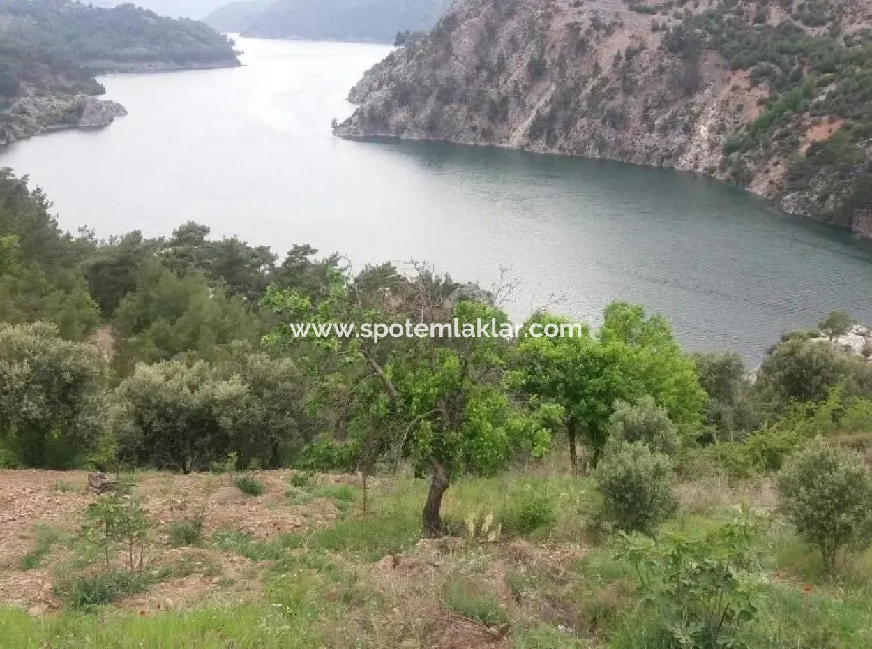 Dalaman Bozbelde Satılık Baraj Gölü Manzaralı Tarla