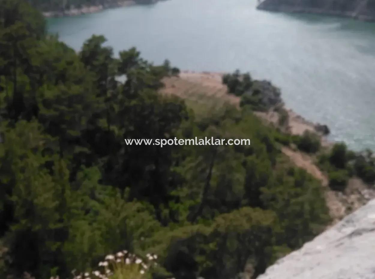 Dalaman Bozbelde Satılık Baraj Gölü Manzaralı Tarla