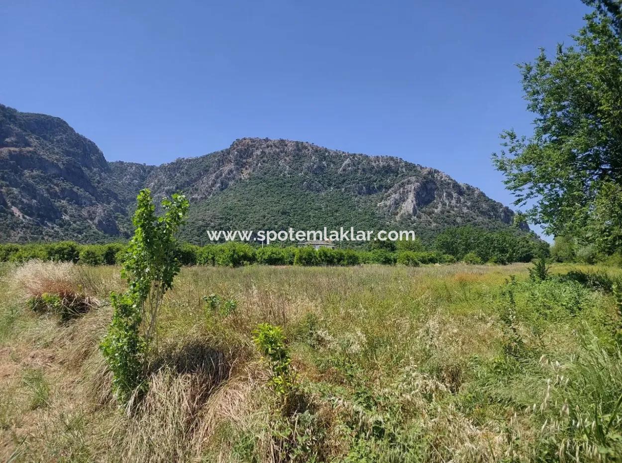 Muğla Marmarlı Da 5 800 M2 İmar Planı İçinde Yatırıma Uygun Satılık  Arsa