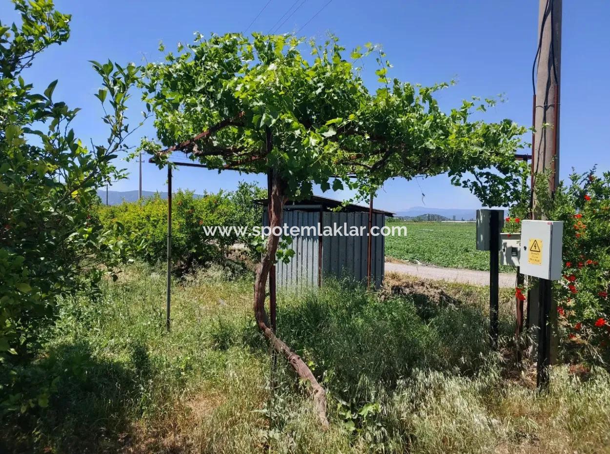Muğla Ortaca Eskiköyde 9.000  M2 Nar Bahçesi Satılık