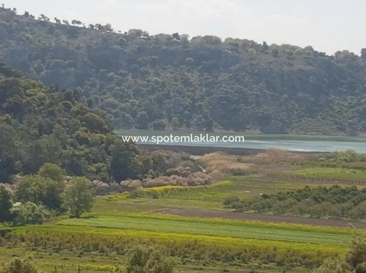 Muğla Dalaman Kapıkargın'da Göle Sıfır Hazine Arazisi – Zilliyet Devri Edilecek 