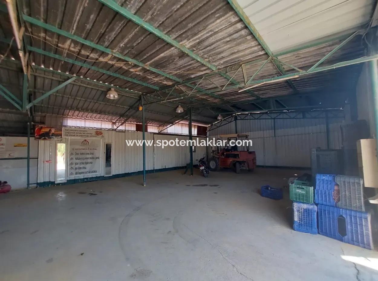 Muğla Dalyan’da 250 M² Tam Kullanımlı Depo Kiralık