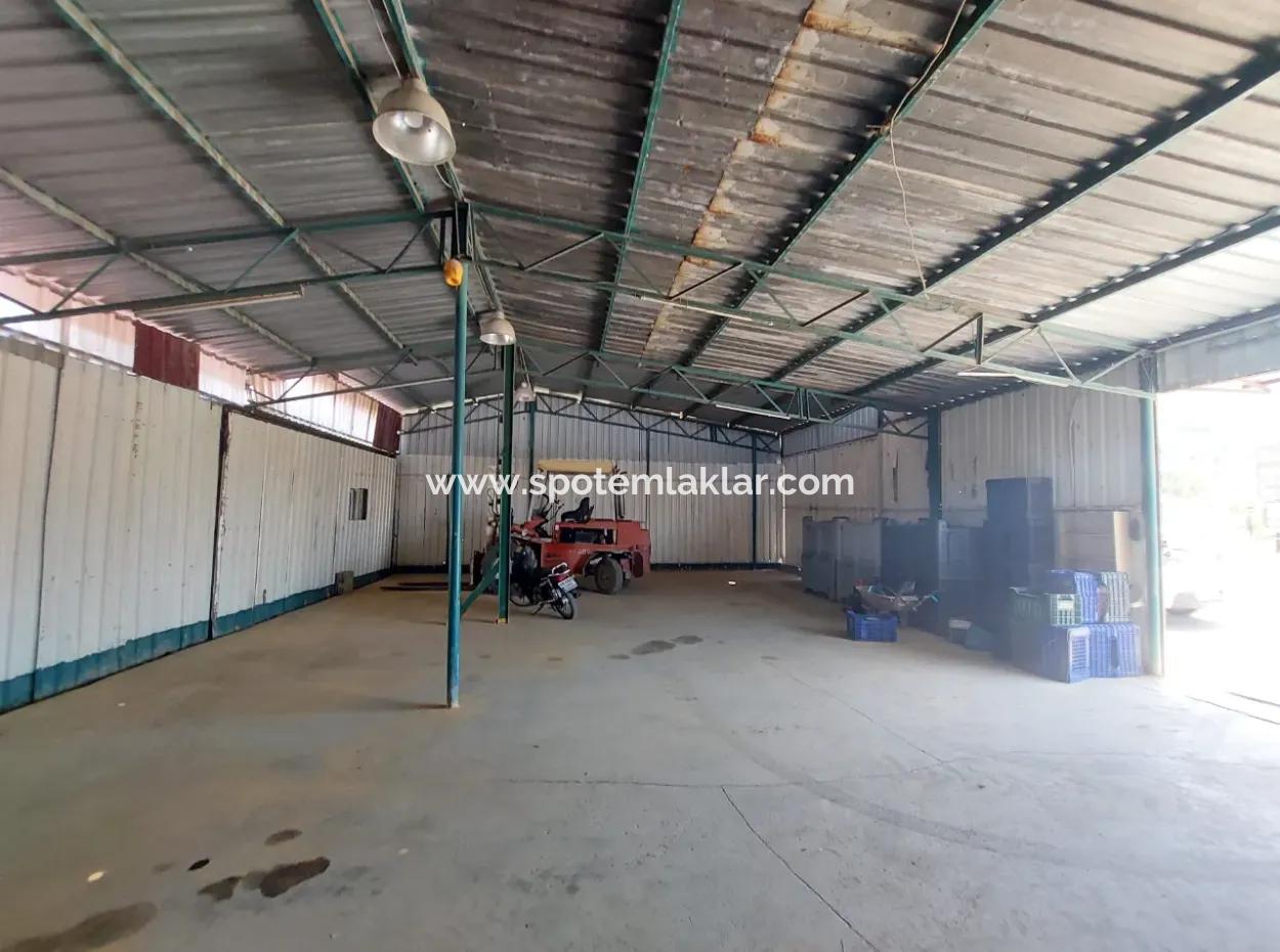 Muğla Dalyan’da 60 M² Tam Kullanımlı Kiralık Depo