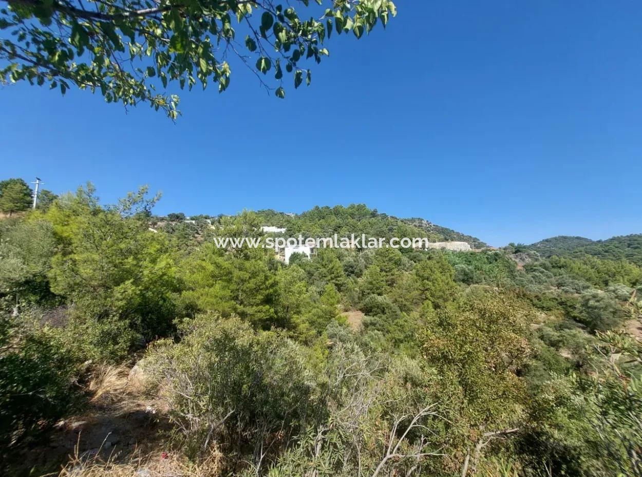 Muğla Ortaca Gökbel’de Satılık Müstakil Tapulu  238 M2 Hobi Bahçesi