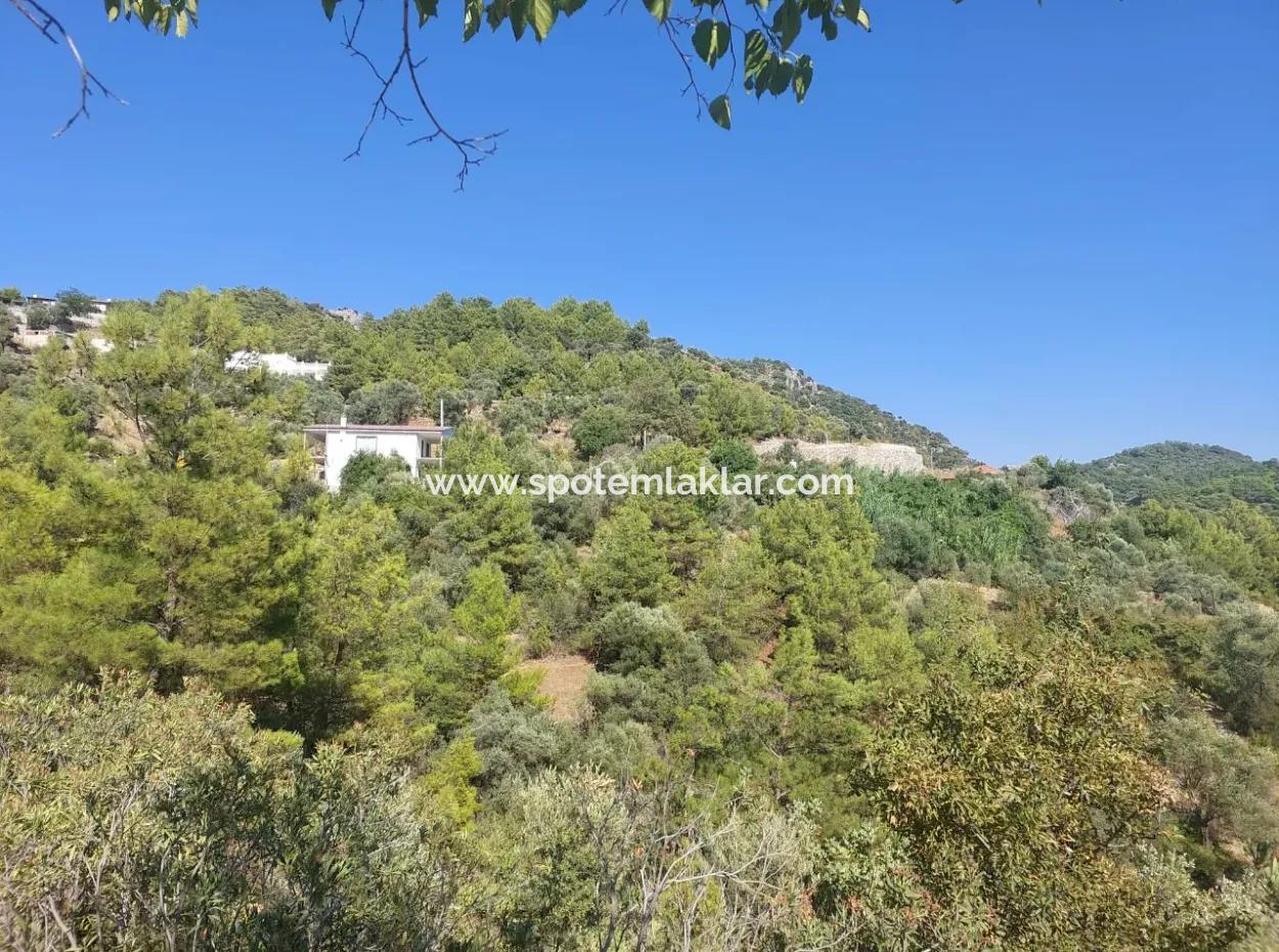 Muğla Ortaca Gökbel’de Satılık Müstakil Tapulu  238 M2 Hobi Bahçesi