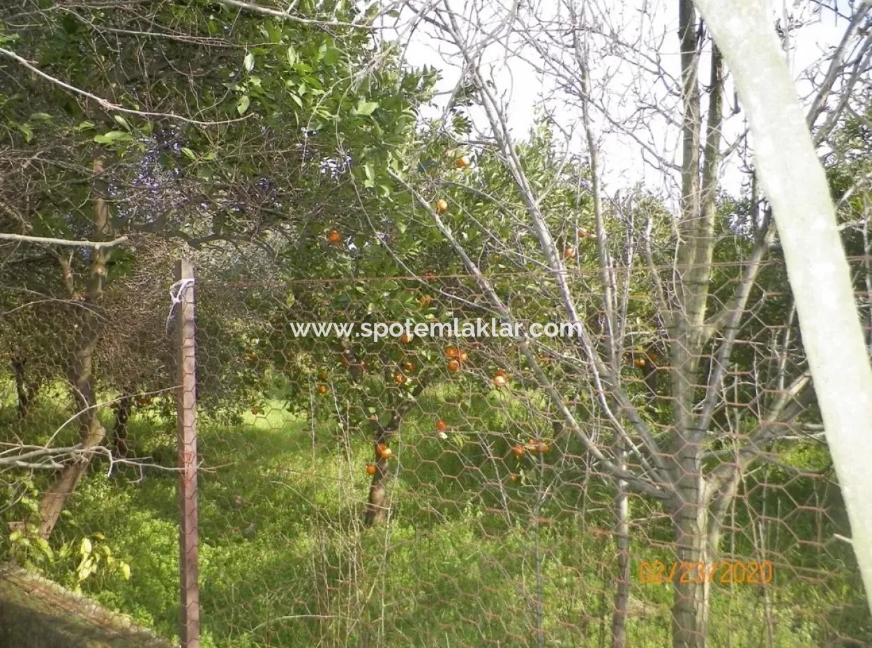 Toparlarda Satılık Yola Sıfır İmarlı Arsa