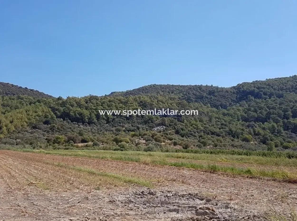 Ortaca Güzelyurtta Satılık Kelepir Verimli Arazi