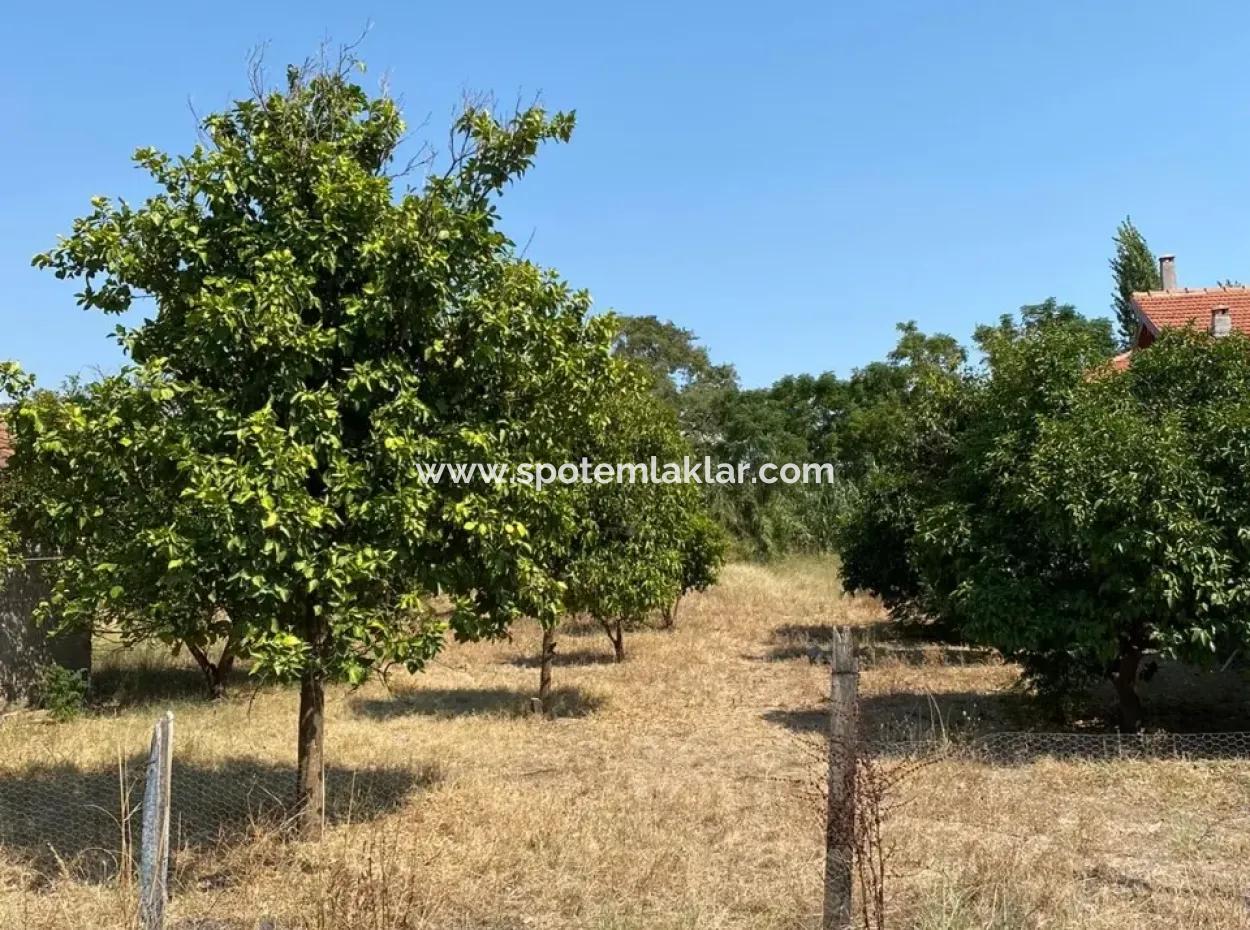 Ortacada Satılık Yatırımlık İmarlı Arsa