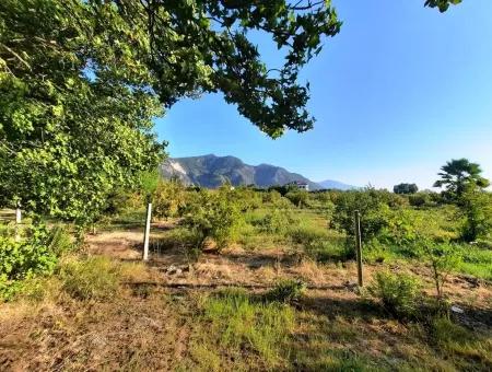 Muğla Dalyan Marmarlıda Satılık Yatırıma Uygun Arazi