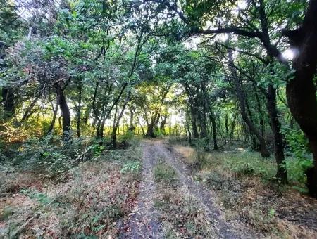 Muğla Dalyan Marmarlıda Satılık Yatırıma Uygun Arazi