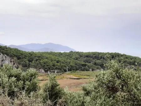 Muğla Sarıgermede Satılık Deniz Manzaralı Arsalar