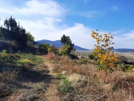 Denizli Çameli Kızılyakada Doğa Manzaralı Kelepir Arazi Ve Köy Evi Satılık