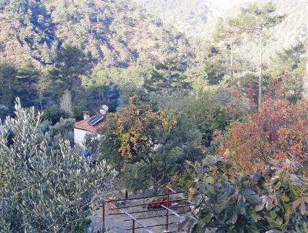 Muğla Dalaman Narlıda Satılık 1800 M2 Kelepir Arazi