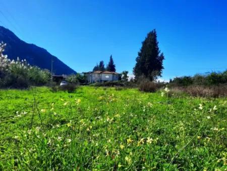 Muğla Ortaca Dalyanda Satılık Yol Cepheli 9300 M2 Yatırıma Uygun Verimli Arazi