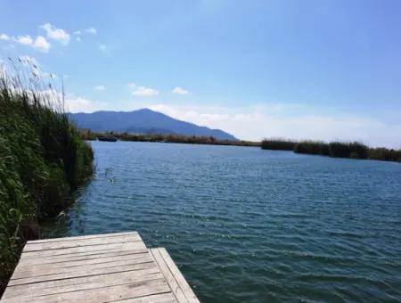 Muğla Dalyanda Satılık Kanala Sıfır Yatırıma Uygun Nar Bahçesi