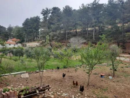 Köyceğiz Ağla Yaylada Fırsat Kelepir 1050 M2 İmarlı Arsa Satılık