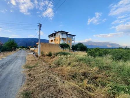 Köyceğiz Toparlarda 3500 M2 Portakal Ve Mandalina Bahçesi Satılık