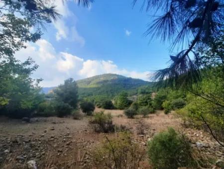 Muğla Dalyan Gökbelde 320 M2 Kelepir Arazi Satılık