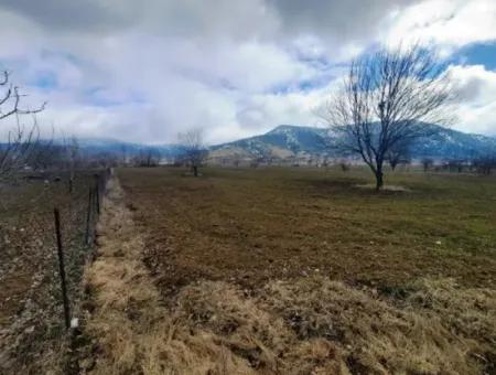 Denizli Çameli Belevi De 358 M2 Müstakil Tapulu Tarla  Hobi Bahçesi Satılık