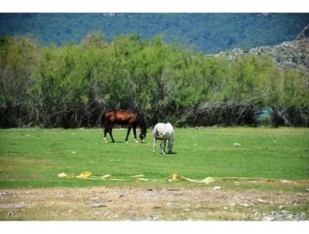 Dalyanda Kanala Sıfır Satılık Müstakil Villa