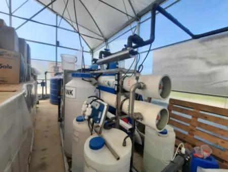Fethiye'de 6 500 M2 Tam Otomatik Yüksek Çilek Serası Satılık