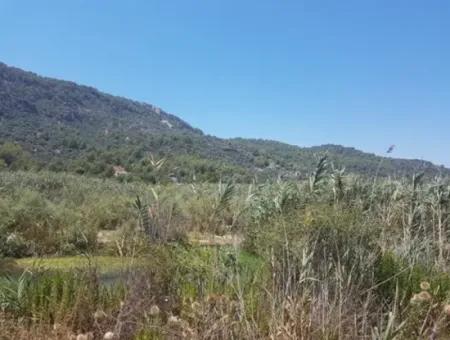 Muğla Ortaca Sarıgerme’de 14.300 M² Kiralık Arazi – Turizm Ve Ticari Yatırıma Uygun
