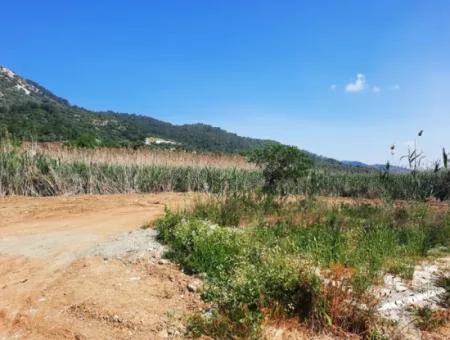 Muğla Ortaca Sarıgerme’de 14.300 M² Kiralık Arazi – Turizm Ve Ticari Yatırıma Uygun