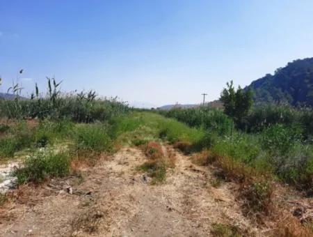 Muğla Ortaca Sarıgerme’de 14.300 M² Kiralık Arazi – Turizm Ve Ticari Yatırıma Uygun