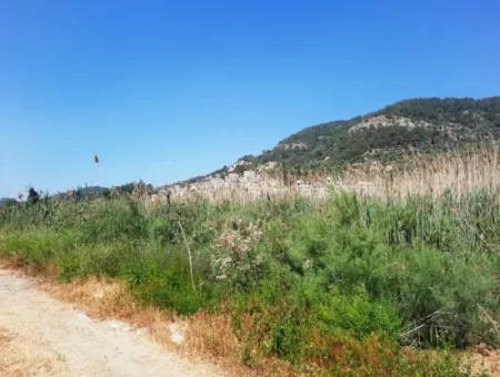 Muğla Ortaca Sarıgerme’de 14.300 M² Kiralık Arazi – Turizm Ve Ticari Yatırıma Uygun
