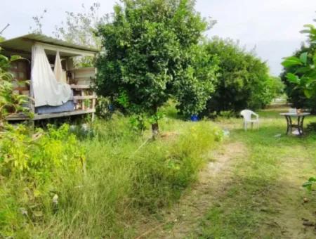 Muğla Ortaca Fevziye Mahallesinde Denize 3 Km De 11.750 M2 Tarla Satılık