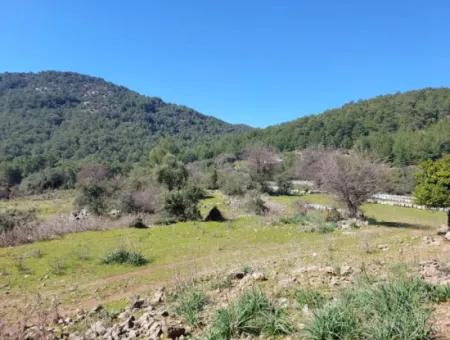 Muğla Ortaca Gökbelde Doğa İçinde 2 400 M2 Tarla Satılık