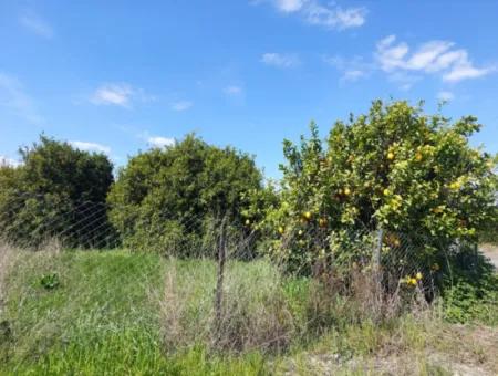 Ortaca Marmarlı’da Dağ Ve Doğa Manzaralı 1.500 M² Müstakil Arsa Satılık
